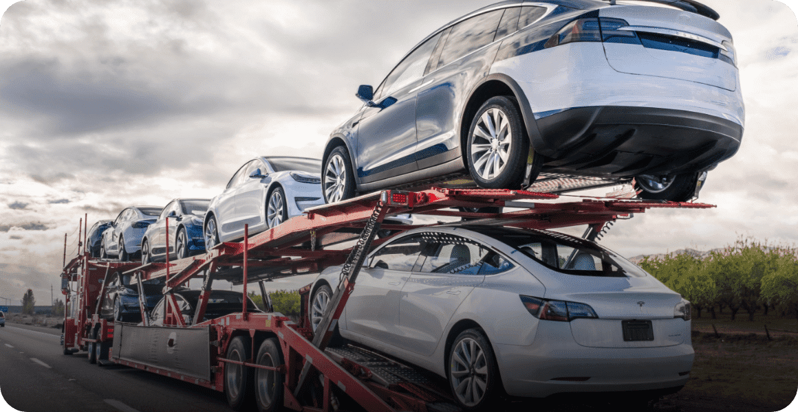 Domestic Transportation